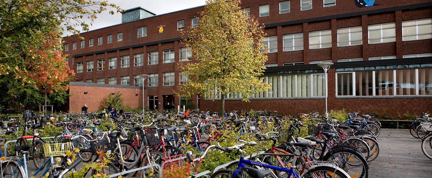 Bicycles in front of a the Division's builing. Photo.